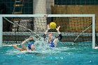 WWPolo vs CC  Wheaton College Women’s Water Polo compete in their sports inaugural match vs Connecticut College. - Photo By: KEITH NORDSTROM : Wheaton, water polo, inaugural